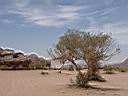 Wadi Rum 11